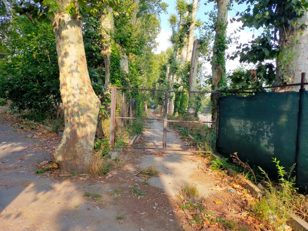 Behçet Kemal Çağlar Lisesi İnşaatı devam Ediyor