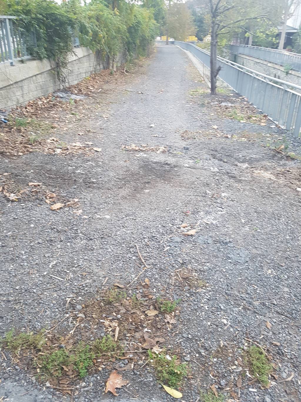 Küçükdere sokak, Dere Kenarındaki Kullanılmayan Yolun Asfaltını Yaptık