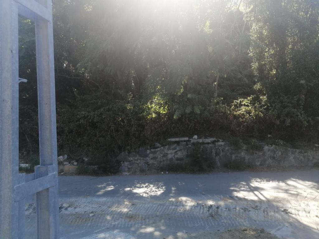 Küçükdere sokağın girişindeki ormanlık bölgenin park yapımı çalışmasına İbb tarafından başlanmıştır. Mahallemize hayırlı olsun.